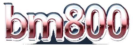 bm800 logo